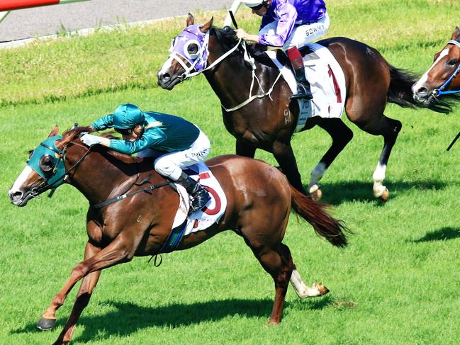Acatour ridden by Blake Shinn wins race 2 at Royal Randwick.  Pic Jenny Evans