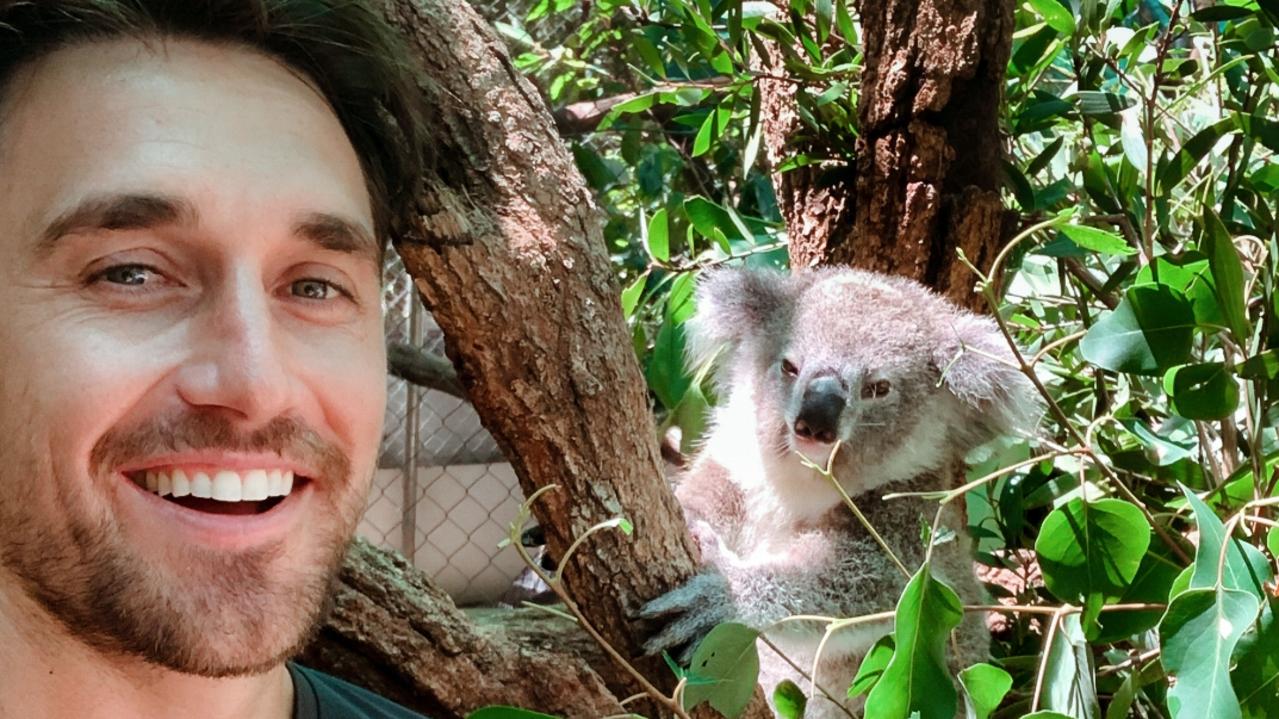 Escape’s Tyson Mayr reveals miracle operation to save koalas | escape ...