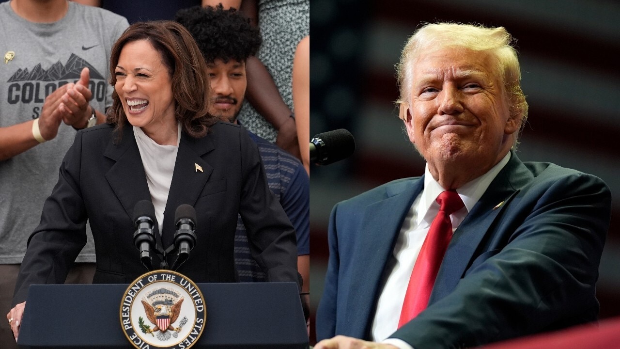 US Election 2024: Donald Trump And Kamala Harris Embark On Final Day In ...