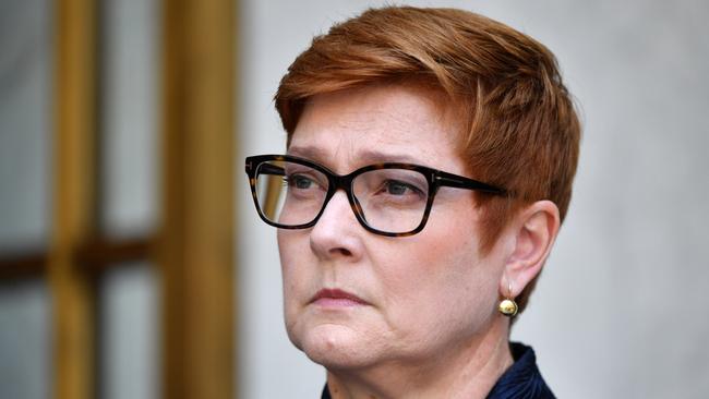 Minister for Foreign Affairs Marise Payn. Picture: AAP.