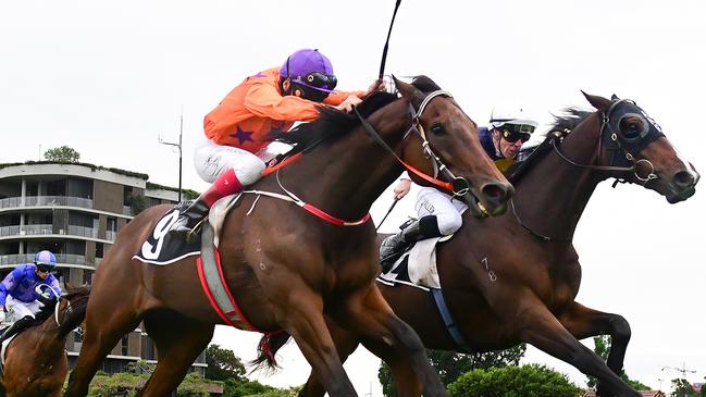 Warp Speed continues his great run of form for Toowoomba trainer Mark Goodwin and jockey Michael Cahill. Picture: Grant Peters/Trackside Photography