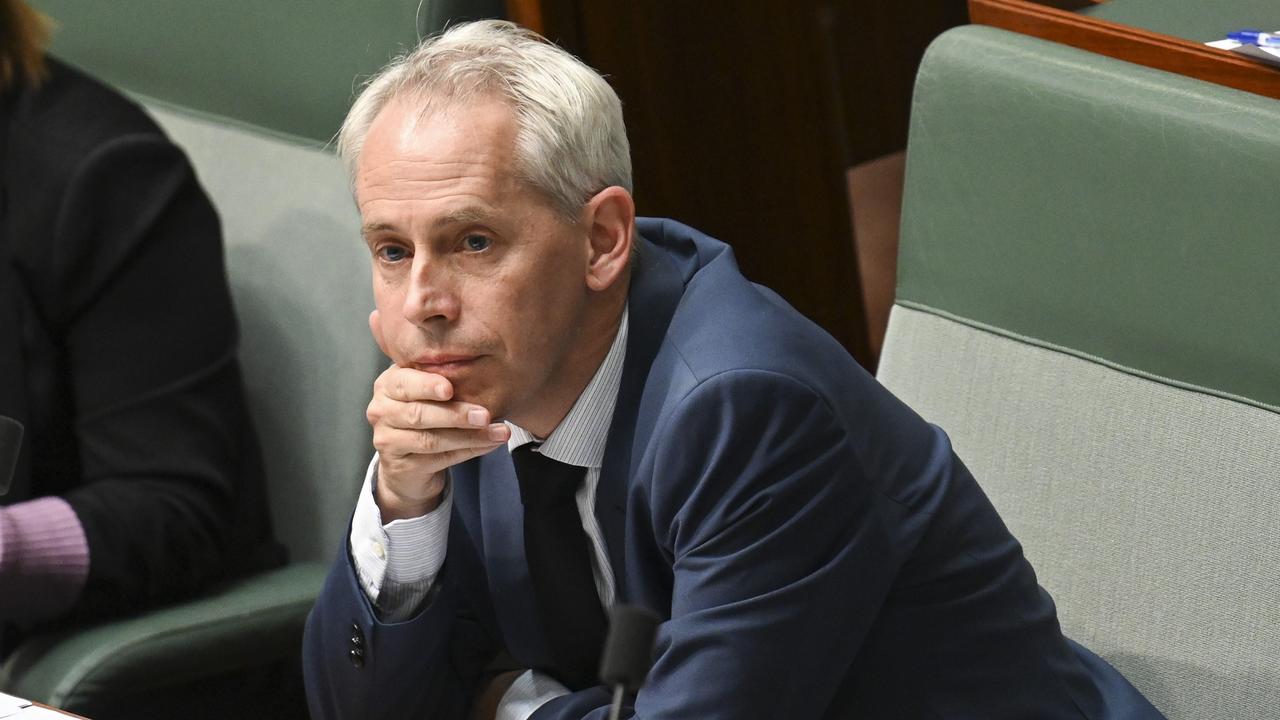 Immigration Minister Andrew Giles cancels 20 visas as Murray Watt says ...