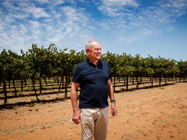 30/1/2020 Chris Byrne, Executive Chair at Riverland Wine in Loxton.  Picture MATT TURNER.