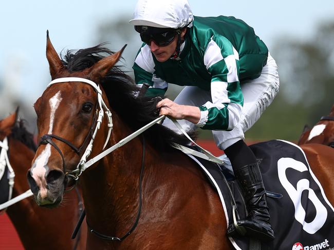 SYDNEY, AUSTRALIA - MARCH 23: James Mcdonald riding  Via Sistina wins Race 5 Ranvet Stakes  during the Golden Slipper Day - Sydney Racing at Rosehill Gardens on March 23, 2024 in Sydney, Australia. (Photo by Jeremy Ng/Getty Images)