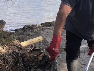 Disturbing sighting on popular beach