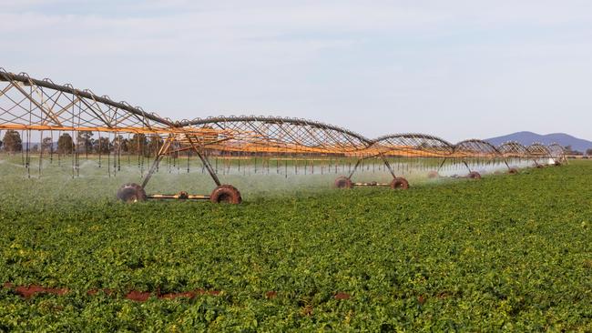 A 6005ML portfolio of highly secure water entitlements via the Lower Lachlan Groundwater Source supports production across the Mitolo Hillston Portfolio.