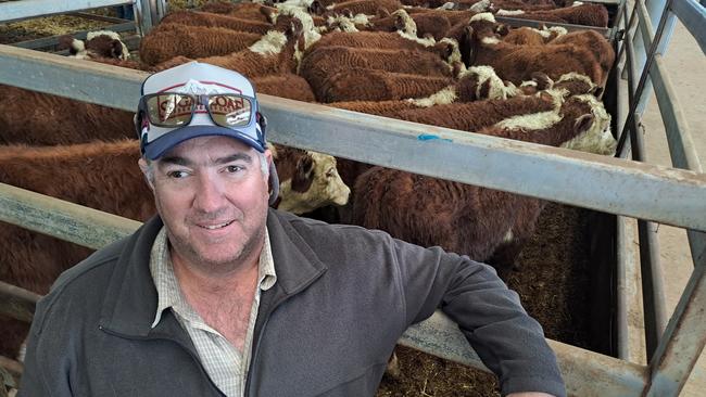 Scott Reid, Wodonga cattle sale Picture: Jenny Kelly