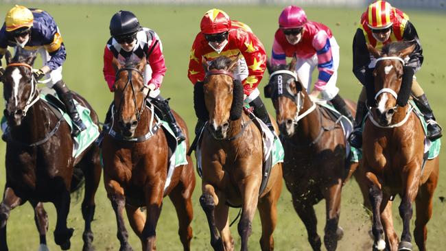 Always Sure (red/yellow) looks good value coming off a solid run last start. Picture: Getty Images