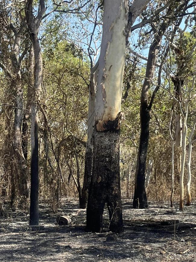 The fires, which are still going, burned through forest, farm and grass.