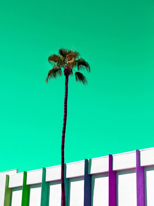 Currumbin artist Virginia Star's work appeared on House Rules. Palm Springs Palm & Stripe.