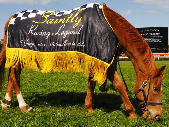 Such was Bart Cummings’ love of his great stayer that he called his Melbourne stables Saintly Lodge. Picture: Simon Bullard