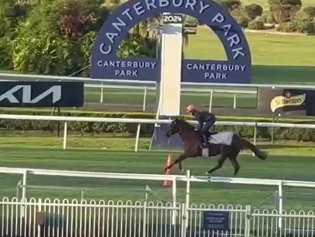 Three international raiders stepped out at Canterbury on Tuesday morning