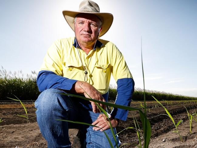 06 June 2014 - Herbert River, Queensland Cane grower Michael Pisano contemplating the industry's future - Photo: Cameron Laird (Ph: 0418 238811) Picture: Laird Cameron