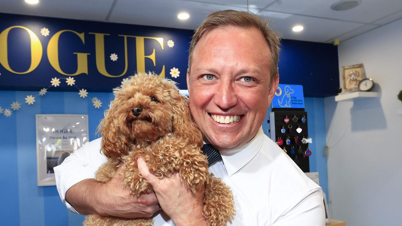 We sold you a pup: Premier moves to neutralise LNP attacks