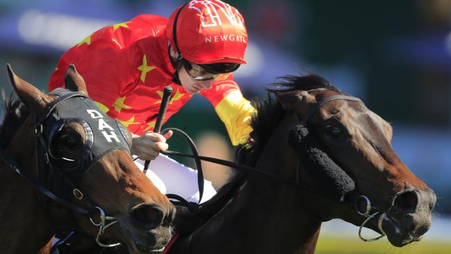 Mandela should be hard to hold out in the Girls Day Out Raceday Plate. Picture: Getty Images