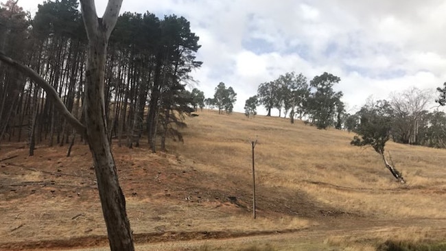 Ignition point for the Cuddlee Creek Bushfire. The tree stump indicates where the tree fell onto the power lines.