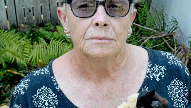 Lyn Laskus and orphaned flying fox in Rockhampton following last week&#39;s fires. Picture: Jann Houley