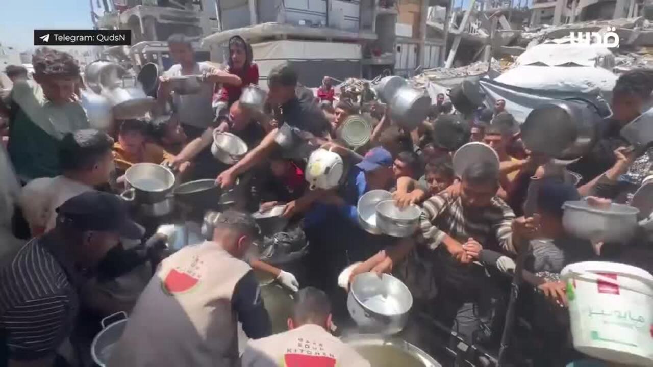 Palestinians Scramble for Food in Northern Gaza as Famine Concerns Grow