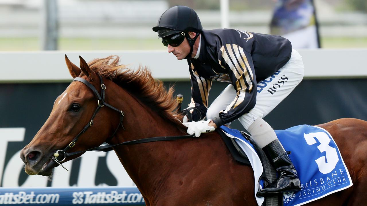 Ciaron Maher prays for heavy going as Srikandi counts down to ...