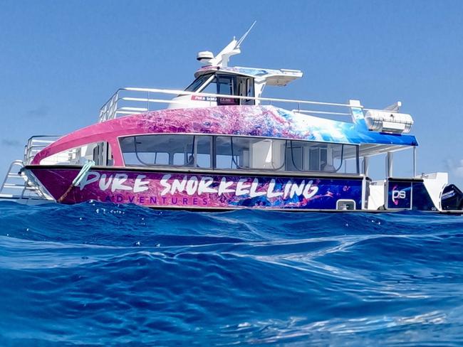 Pure Snorkelling at the reef. Photo: Supplied