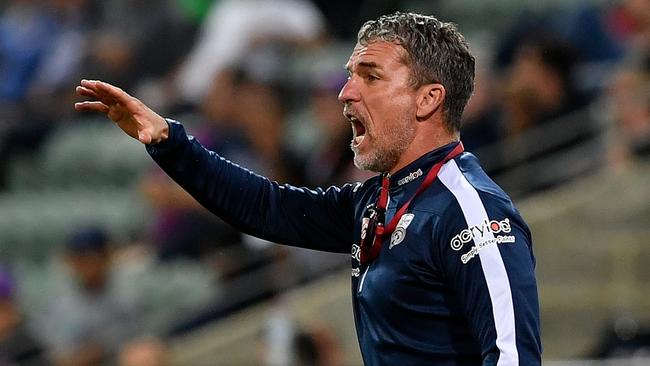 Marco Kurz will bring plenty of passion to the job. Picture: Getty Images