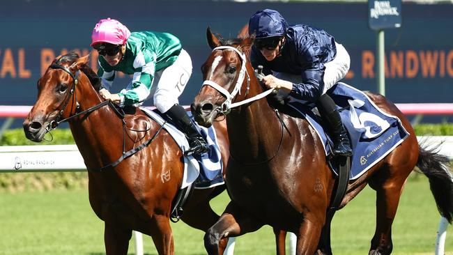 Switzerland (right) gets the better of Straight Charge to win the Todman Stakes at Randwick on Saturday. Picture: Getty Images