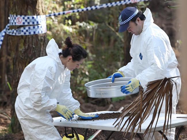 Forensics sift through the removed soil.