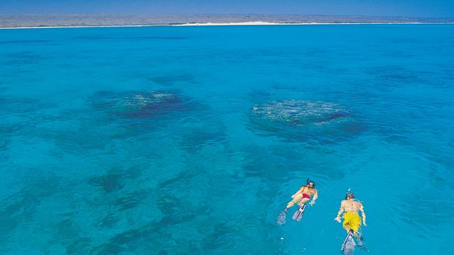 ESCAPE: AUSTRALIA WILDERNESS ..  Couple snorkelling in Ningaloo Marine Park . Picture: Tourism W.A.