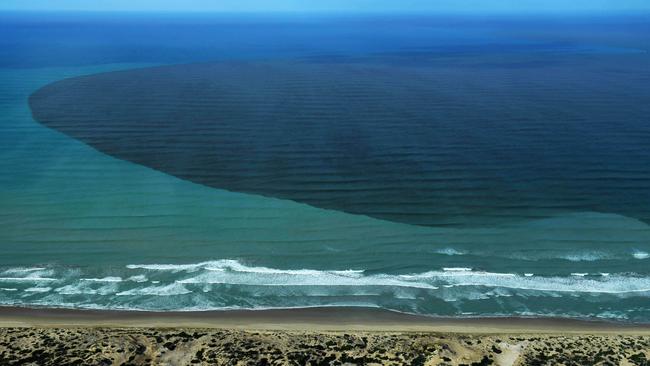 The plume of floodwaters extending tens of kilometres into the Great Australian Bight. Picture: Dean Sewell/Oculi