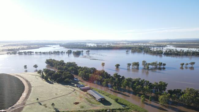 The flooding caused extensive damage to the couple’s cotton crops which were in their final stages before an April and May harvest.