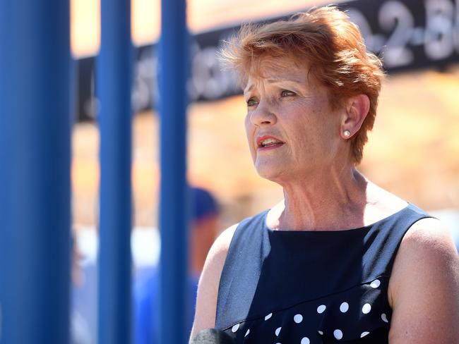 The One Nation leader believes Australia’s public health restrictions are a gross over-reaction to the actual risk posed by Covid-19. Picture: Matt Taylor