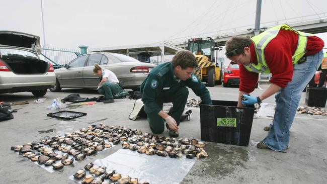 Fisheries officers arrest abalone poacher Steven Brear on his return to Melbourne from Tasmania.