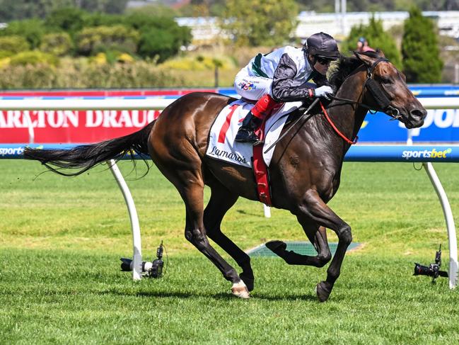 Mr Brightside (NZ) ridden by Craig Williams wins the Lamaro's Hotel Futurity Stakes at Caulfield Racecourse on February 24, 2024 in Caulfield, Australia. (Photo by Reg Ryan/Racing Photos via Getty Images)