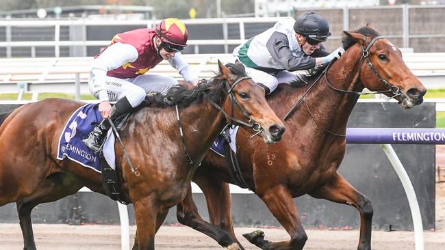 Eugenius (left) throwing down the gauntlet to Stellar Olympus last start at Flemington. Picture: Brett Holburt-Racing Photos via Getty Images