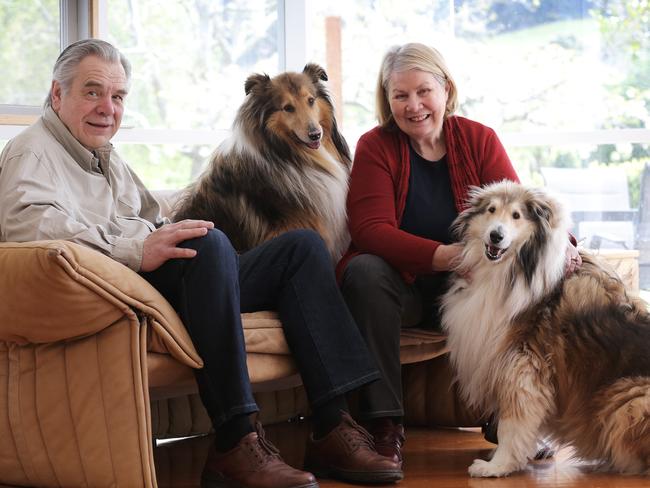 TAS WEEKEND: At home with Carlene des Tres: John Abel and Carlene Des Tres with their Collie Rough's Skye (sitting on couch) and Isla Picture: LUKE BOWDEN