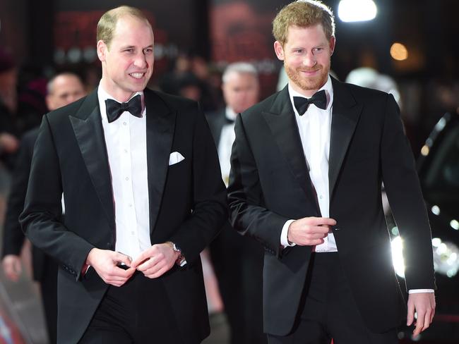 The royal brothers are facing challenges in their relationship. Picture: AFP