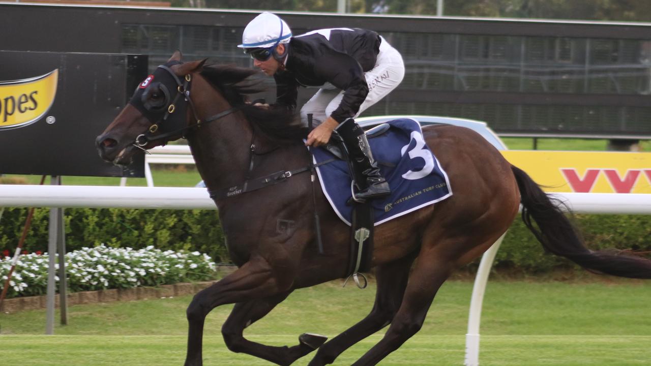 Peter Snowden has been pleased with the efforts of Devil's Throat and rates him an each-weay chance in the Hawkesbury Guineas. Picture: Grant Guy