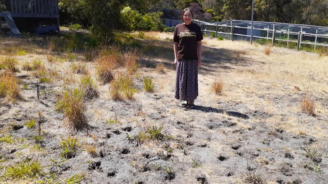 Kathleen Murray from Tasmania wins ‘World’s Ugliest Lawn’. The competition aims to bring attention to global water scarcity issues, with 2.4 billion potentially affected by 2050. Picture: Supplied