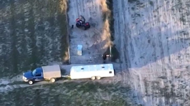 Drone vision released to the ABC shows a man kicking, punching and riding a quad bike at dogs on the property of well-known trainer.