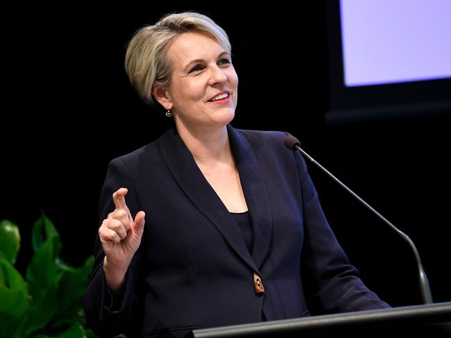 Shadow Minister for Education Tanya Plibersek is concerned for casual teachers. Picture: AAP.