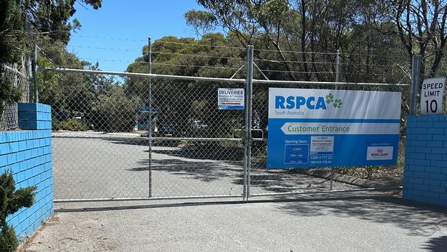 The RSPCA at Lonsdale was closed on Tuesday after a volunteer was bitten by a dog. Picture: Zayda Dollie