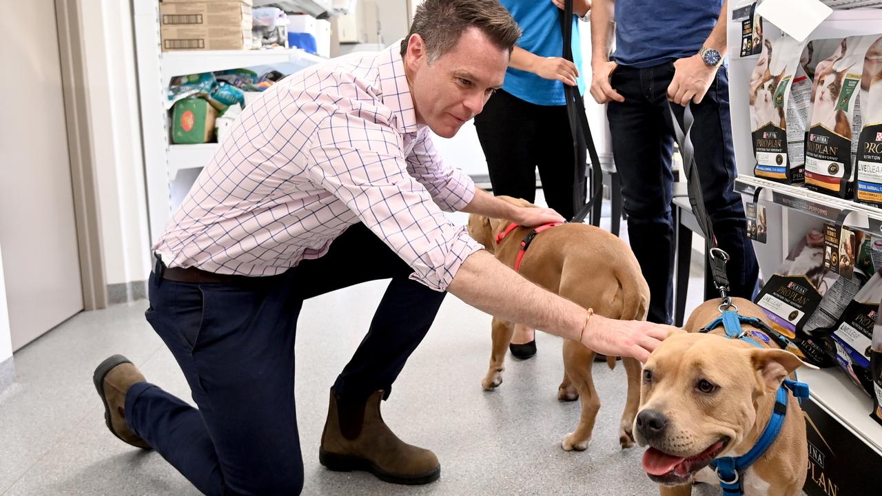 NSW Premier Chris Minns at the Sydney Dogs &amp; Cats Home in 2022. Picture: NCA NewsWire / Jeremy Piper