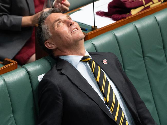 Corio MP Richard Marles in parliament with a Tigers tie after losing a bet on the AFL Grand Final