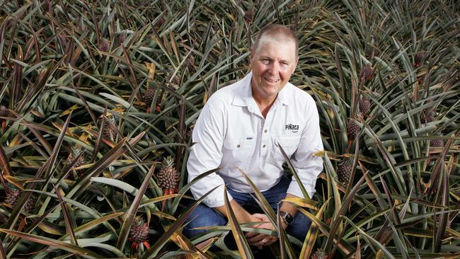 Australian Fresh Produce Alliance chair Gavin Scurr. Picture: Lachie Millard