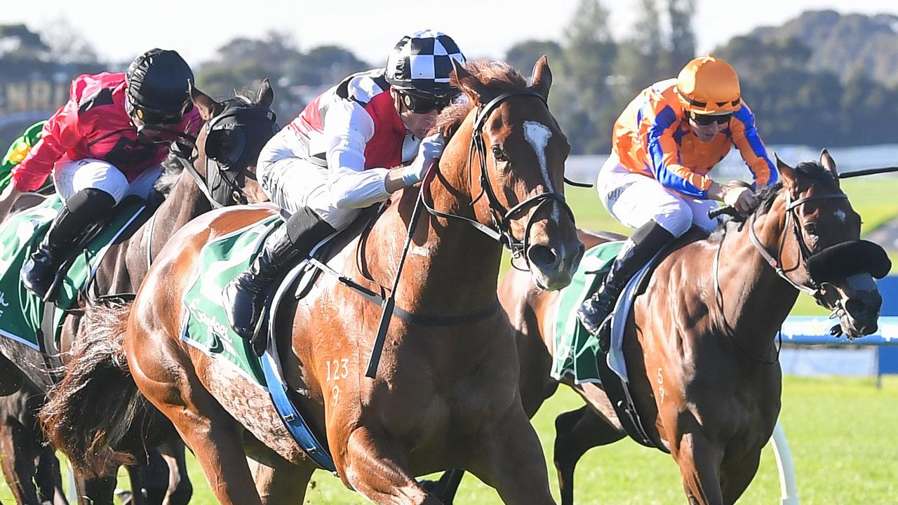 Consistent mare recovers from cold for Group 3 tilt