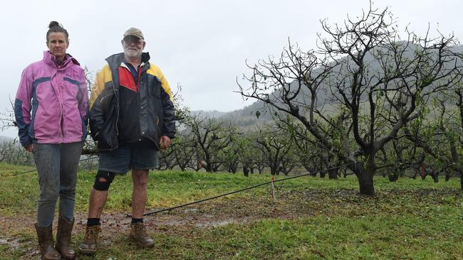 Kate Groves and father John Groves, who has since retired, on their Mary Creek avocado farm in 2018.