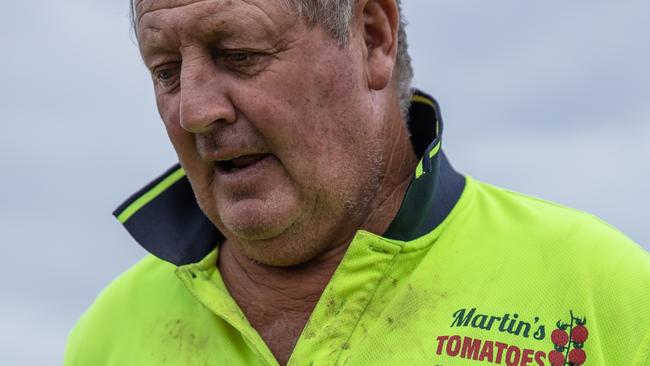 Mr Martin worked with his father farming tomatoes until he took over when his dad retired. He runs the farm alone, with occasional help from his adult son and daughter. Picture: Jason Edwards