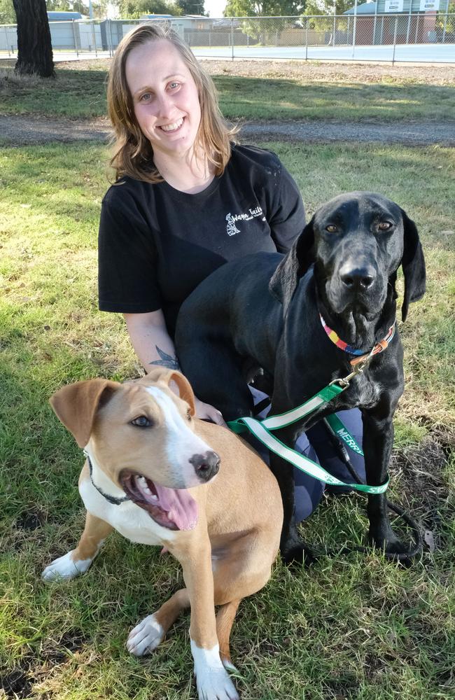 Waggin Tails hit by hard times due to costly vet bills | Geelong Advertiser