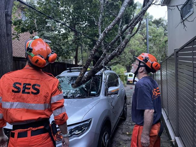 A tree speared through a car window in Sangrado St, Seaforth during the high winds on Friday night. Picture: Manly SES