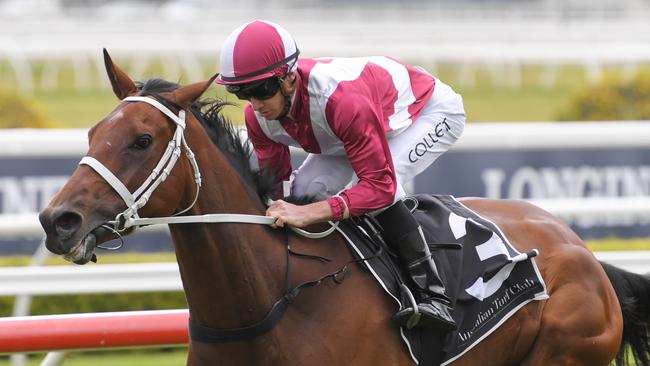 Arcadia Queen beat only one runner in The Everest. Picture: AAP